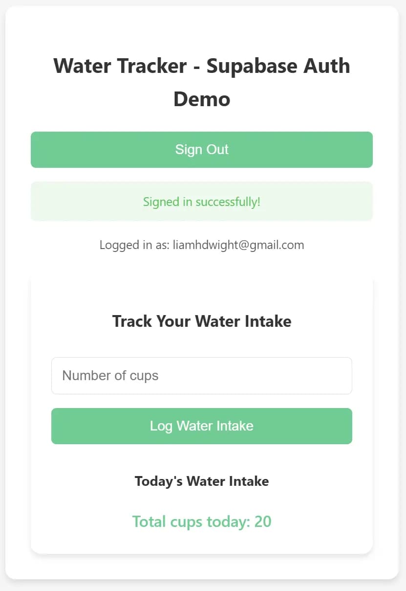 Water Tracker Demo Picture